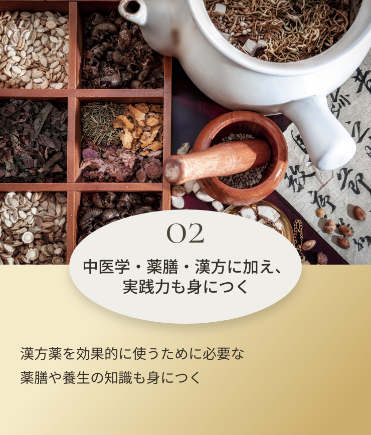 02 中医学・薬膳・漢方に加え、実践力も身につく