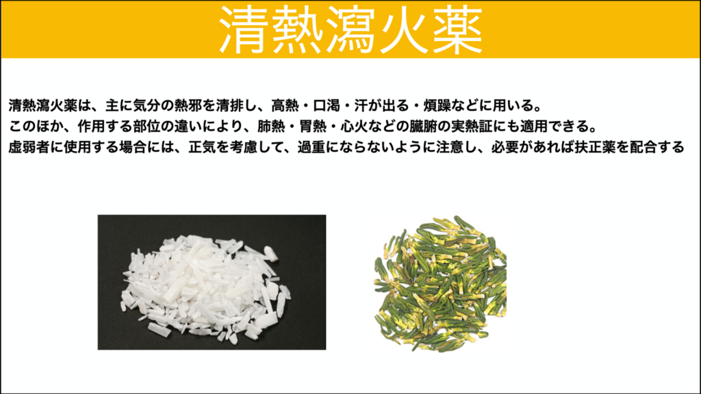 中薬学