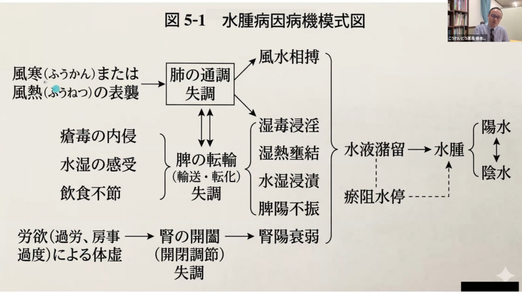 弁証論治1000本ノック